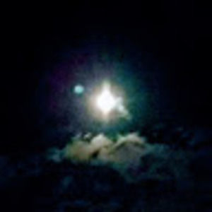 Meet your Posher, Fiona